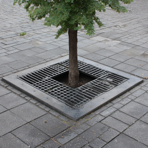 приствольная решетка (фото) | ООО «Городские технологии» приствольная решетка (фото)